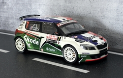 Škoda Fabia S2000 RMC 2011 No. 7